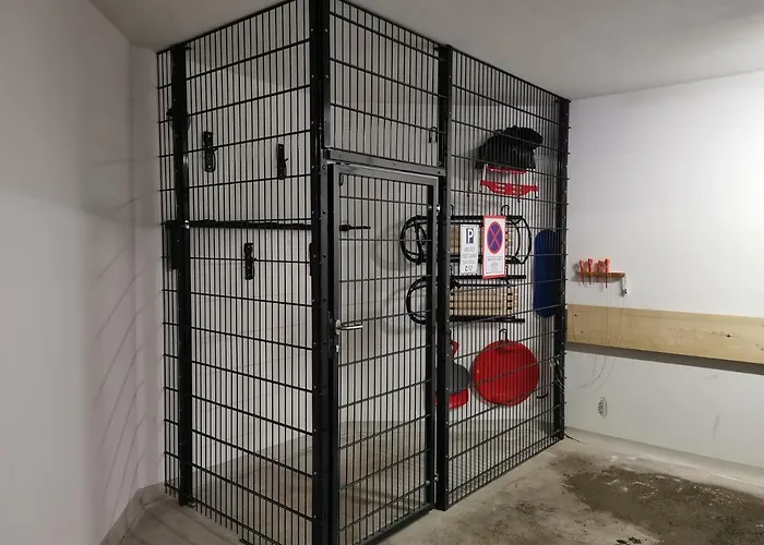 Markowe Zlote Wzgorze